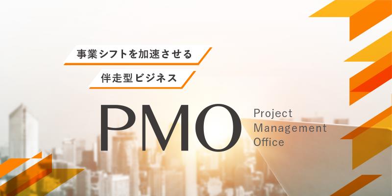 PMO / 業務コンサルティング