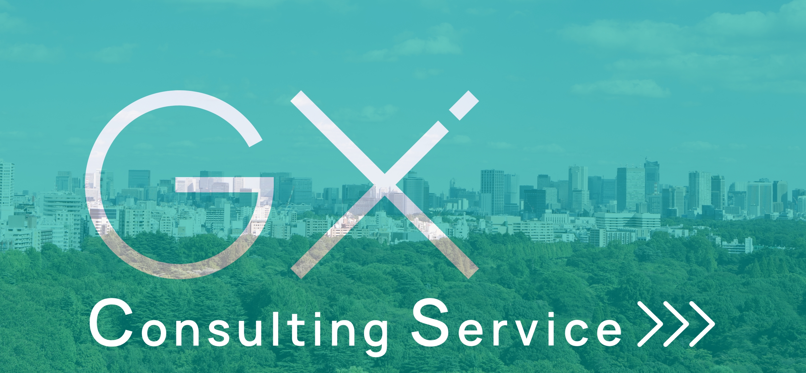 GX Consulting Service
