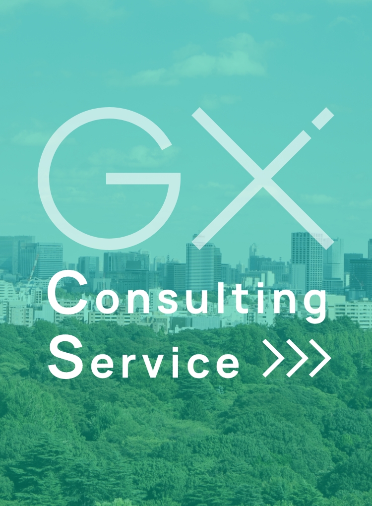 GX Consulting Service