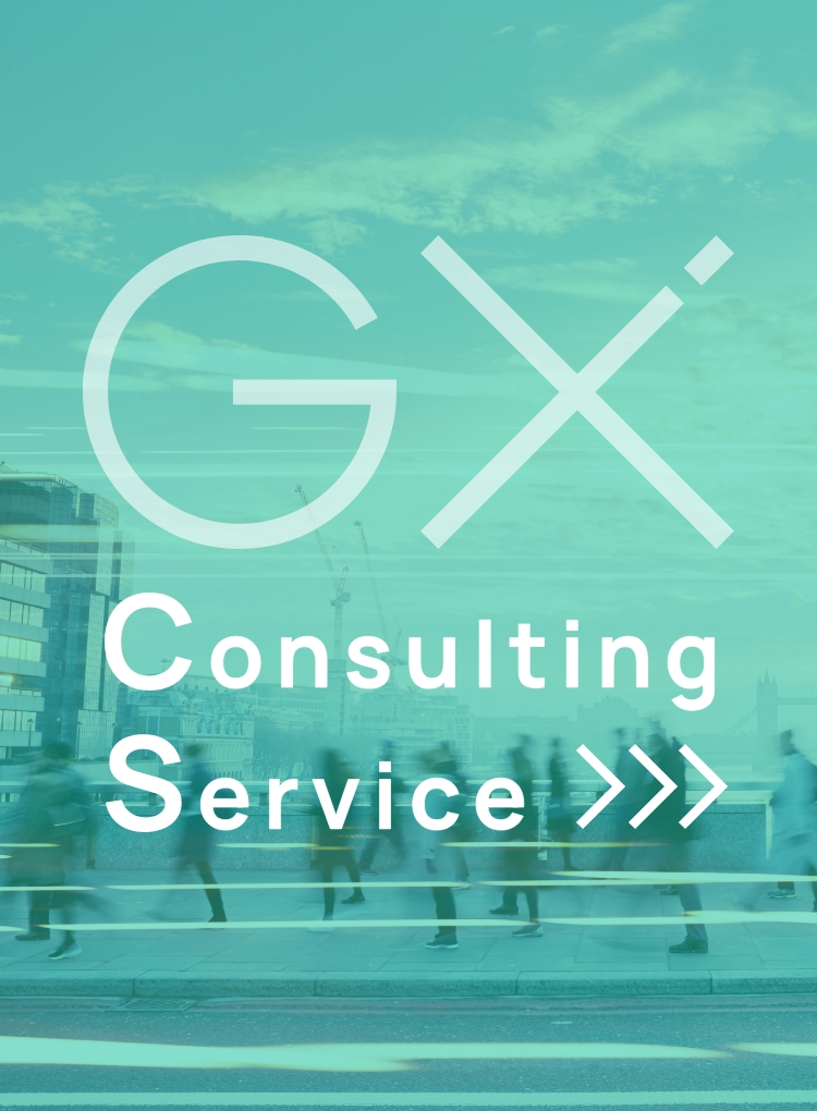 GX Consulting Service