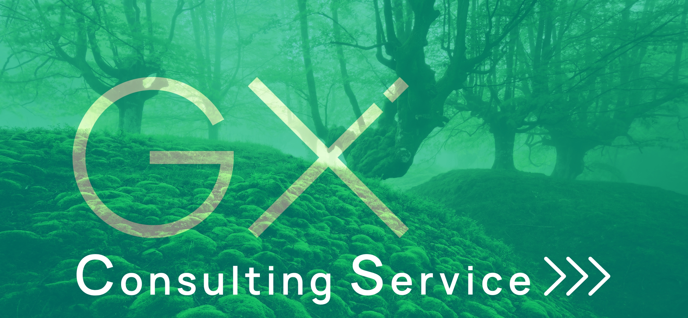 GX Consulting Service