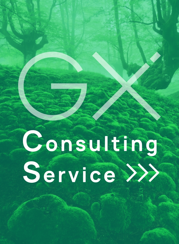 GX Consulting Service