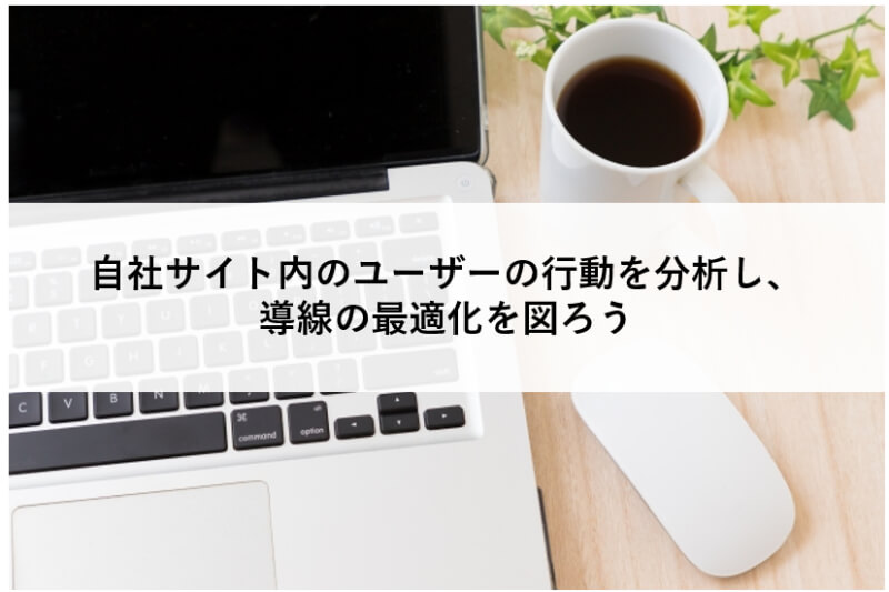 自社サイト 行動分析